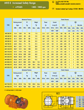 MVE safety 4 poles range specs